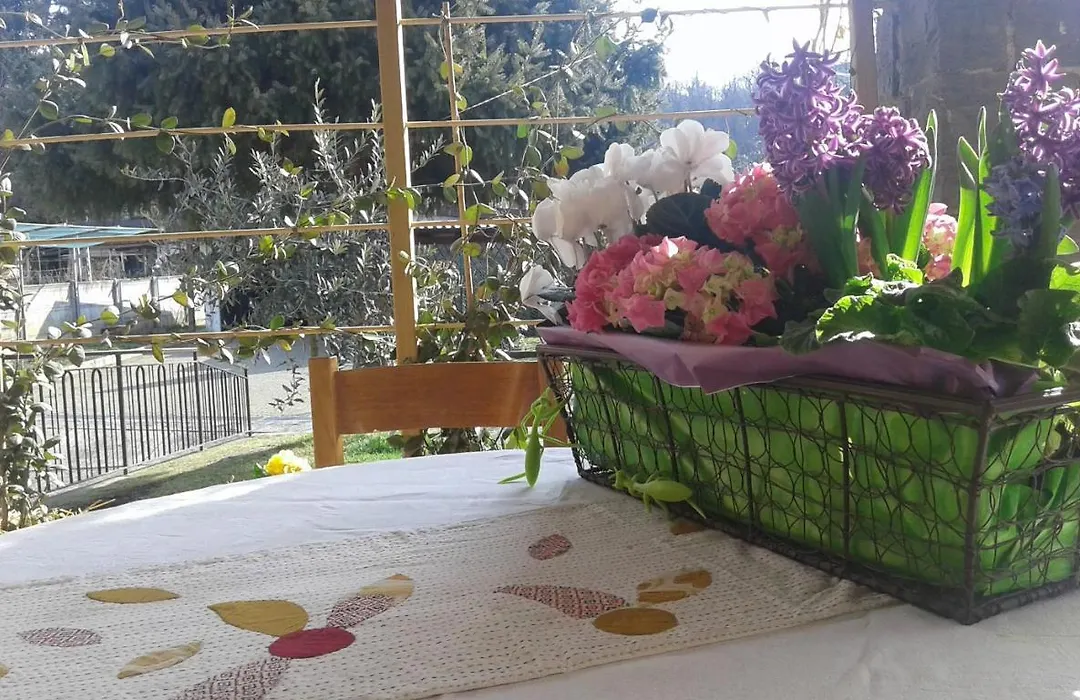 B&B Lori-1